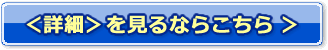 詳細を見るならこちら